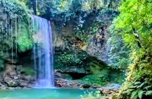  AMBER COVE-TAINO BAY 5 Zip Lines 7 Waterfalls + Locale Food