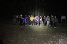 Trekking Rome and Roman Castles: Private Guided Excursions