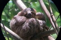 Half Day Guided Hiking at Manuel Antonio National Park