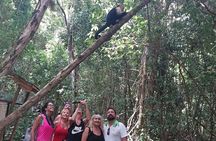 Half Day Guided Hiking at Manuel Antonio National Park