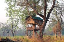 Tree House stay in Bardia National Park || 1 Night 2 Days