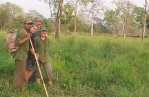 Tree House stay in Bardia National Park || 1 Night 2 Days