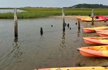 National Seashore Tour with Guided Hike