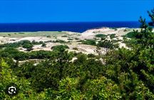  National Seashore Tour with Guided Hike