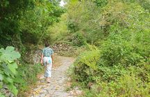 Hike to the Sky, Meditate and Eat Delicious Grandma Food.