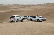 Abu Dhabi Desert Safari With BBQ Dinner & Live Shows