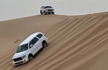 Abu Dhabi Desert Safari With BBQ Dinner & Live Shows