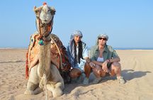 Tour in Hurghada Arabian Night and Star Watching