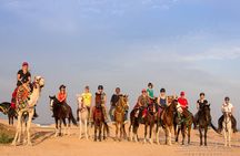 Tour in Hurghada Arabian Night and Star Watching