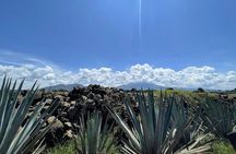 The Essence of Tequila Experience