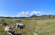Private tour from Budapest to a top hidden treasure region of Europe: Lake Balaton