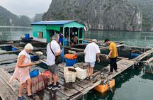 Ha noi: 3D- Halong, Lan ha bay classic cruise, Ninh Binh full day