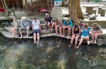 Ha noi: 3D- Halong, Lan ha bay classic cruise, Ninh Binh full day