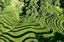 Hagiang City tour 1/2 day to local villages, waterfall, ricefield
