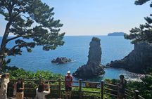Private Guided Car Tour in Jeju Island 