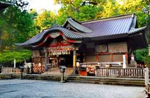 Full Day Mount Fuji and Hakone Tour from Tokyo