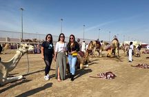 Doha, Qatar: Came Racing Track, Oryx & Sheikh Faisal Museum Tour.