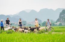 Ninh Binh Full Day Tour with Hoa Lu, Tam Coc and Mua Cave