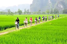 From Hanoi: Hoa Lu, Trang An, Mua Cave &Cycling in Ninh Binh