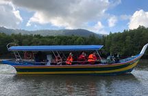 Mangrove River Cruise and Snorkeling Tour from Langkawi
