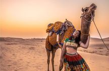 Dazzling Half Day Tour of Camel & Desert Safari with Sunset