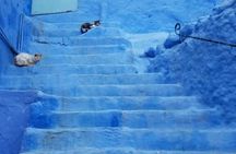  From Fez Day Trip to Chefchaouen 