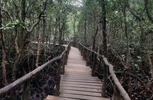 Jozani Forest, Kuza Cave, Paje Beach and The Rock Restaurant 