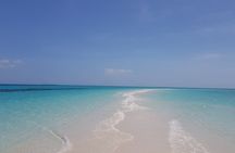 Jozani Forest, Kuza Cave, Paje Beach and The Rock Restaurant 