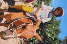 Guachipelin one day tour (zip line- horses- tubing-hot springs) 