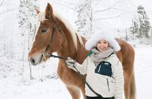 Tour to Aurora Horses Farm with Charming Finnhorses