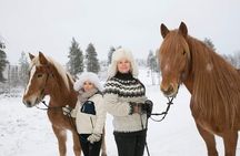 Tour to Aurora Horses Farm with Charming Finnhorses