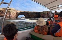 Exploring the Ballestas Islands from Ica in tourist mobility