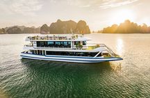 Hercules Luxury Halong Day Trip, 5 Star Cruise with Buffet Lunch