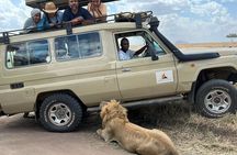5-Day Camping Safari | Tarangire | Ngorongoro | Serengeti