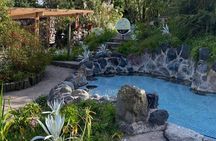 Private Day Tour of the Páramo and Papallacta Hot Springs