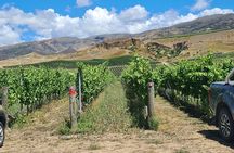 Cromwell Wine Tasting Tour using Classic Car