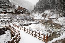 Snow Monkey, Zenko Ji Temple, Sake in Nagano Tour