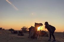 Jaislamer Sightseeing with Sunset Camel & Desert Safari Tour