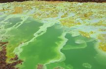 3 Days Danakil Depression Tour