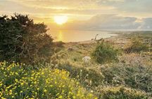 Guided Tour to Cape Greko from Larnaca