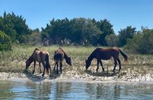 Exploration of Majestic Crystal Coast