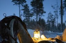 Traditional Finnhorse Sleigh Ride at SCV (3km)