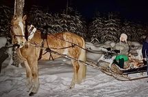 Traditional Finnhorse Sleigh Ride at SCV (3km)