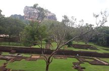 Sigiriya, Dambulla and Minneriya National Park Private Tour In