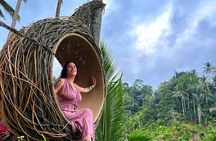 Ubud Tour - Best of Ubud - All Inclusive