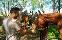 Horseback Riding Tour and Asado in Argentine Countryside