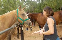 Horseback Riding Tour and Polo in Argentine Countryside