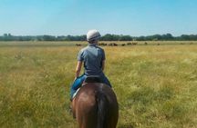 Horseback Riding Tour and Asado in Argentine Countryside