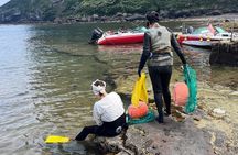 UNESCO Jeju Island EAST Tour (entrance fee included)