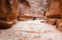 6 Days Private tour to Amman Baptism Site Petra Wadi Rum Dead sea